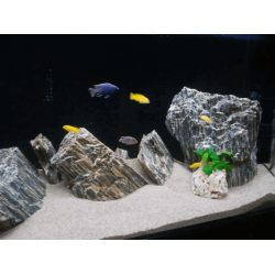Kora kamienna łupek w akwarium dla rybek