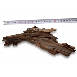 Korzeń mangrowy 26 cm - krewetkarium