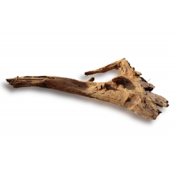 Korzeń Mangrowy XL 40-60cm