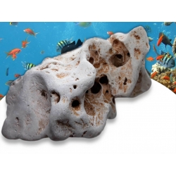 Ocean Rock Kamień Oceaniczny