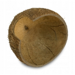 Kokosowa kryjówka do terrarium