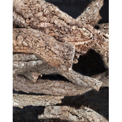 Kora dębu - kryjówka do terrarium TUBA